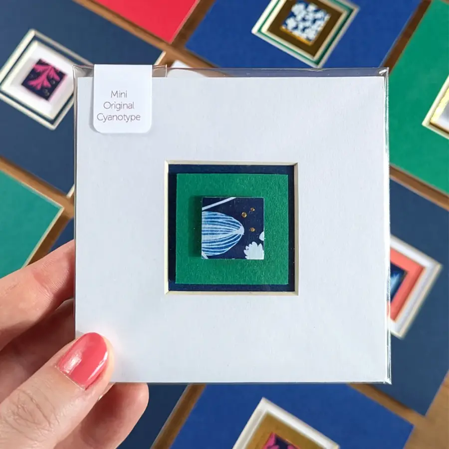 Small framed cyanotype artwork