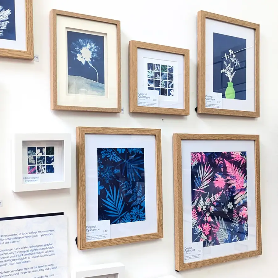 Gallery wall displaying framed cyanotype prints