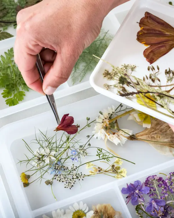 Hands using tweezers to pick flowers from a flower buffet during a cyanotype workshop