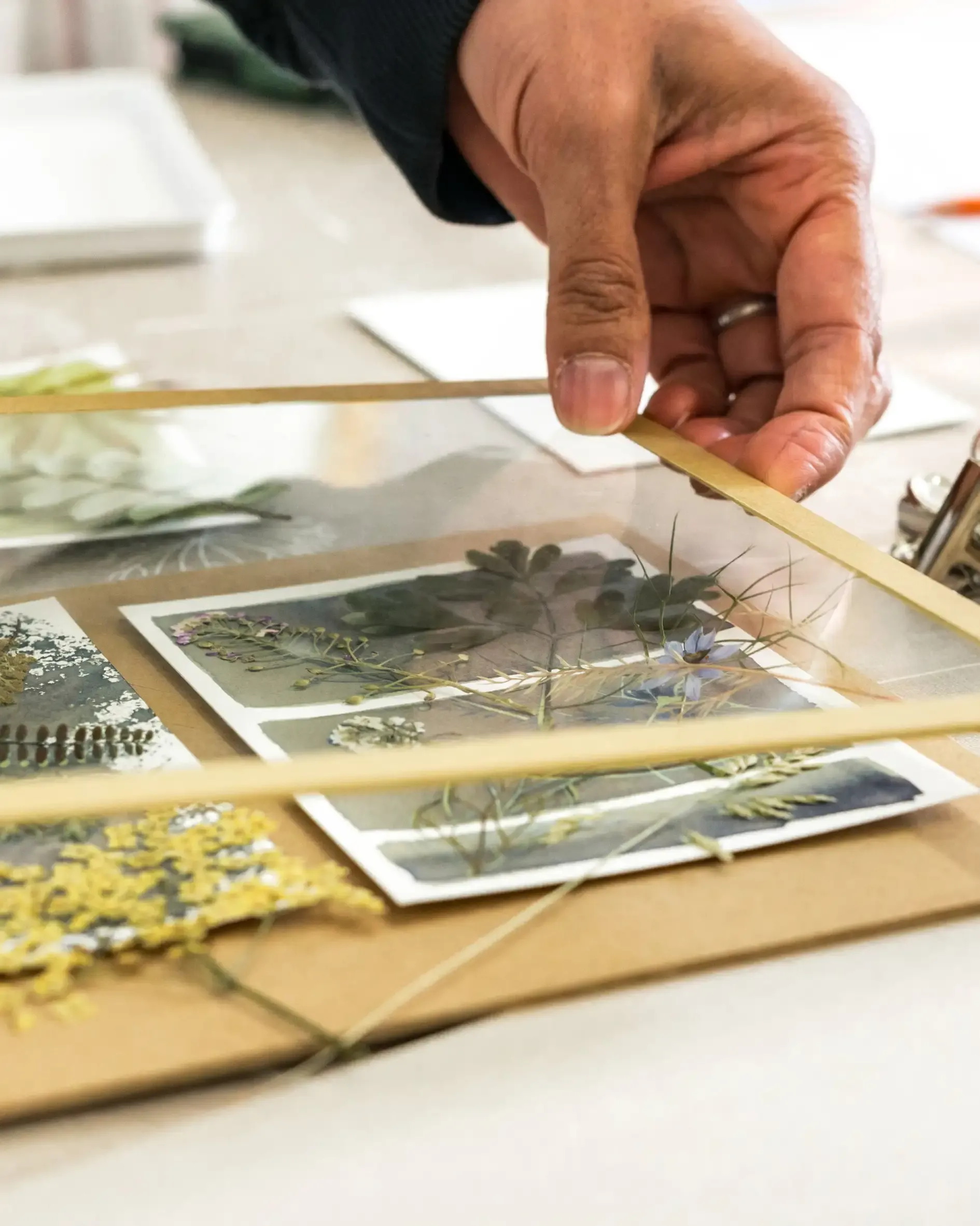 Workshop participant placing acrylic on top of flowers to press them during the cyanotype-making process