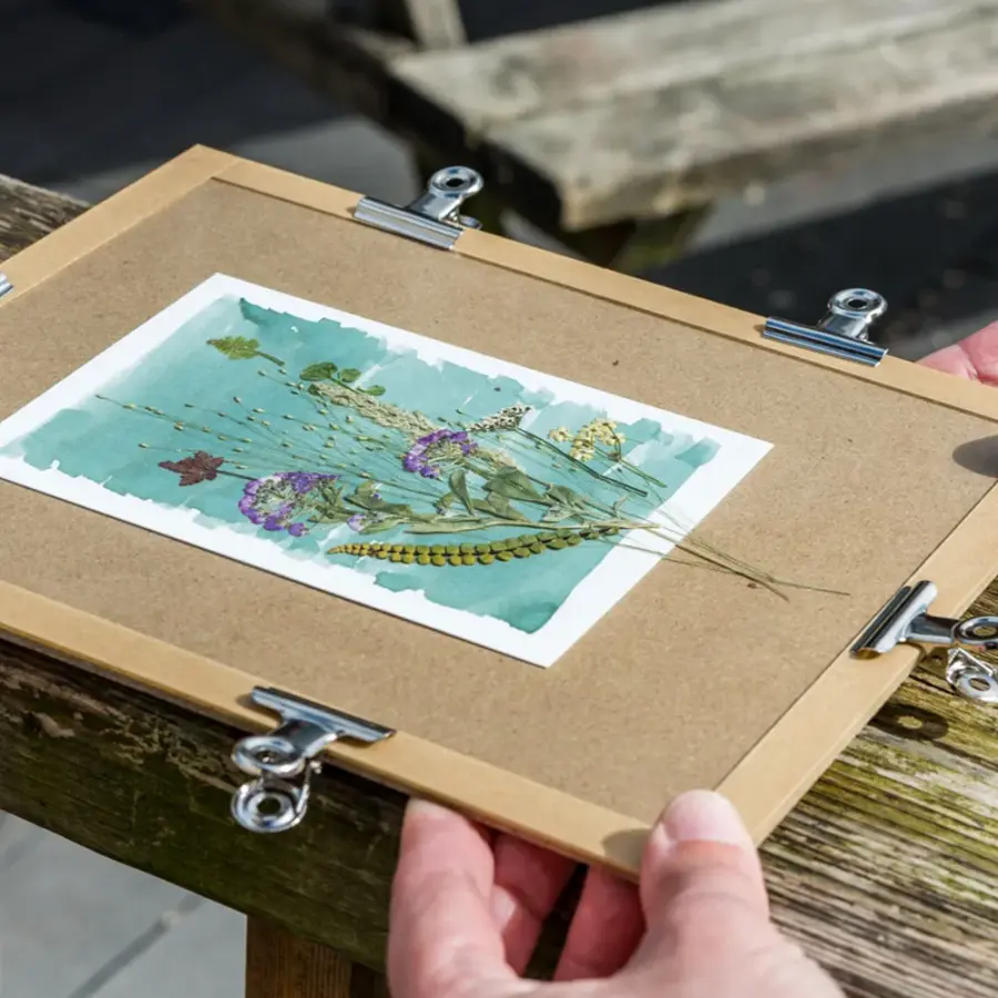 Cyanotype print frame outdoors in direct sunlight during exposure