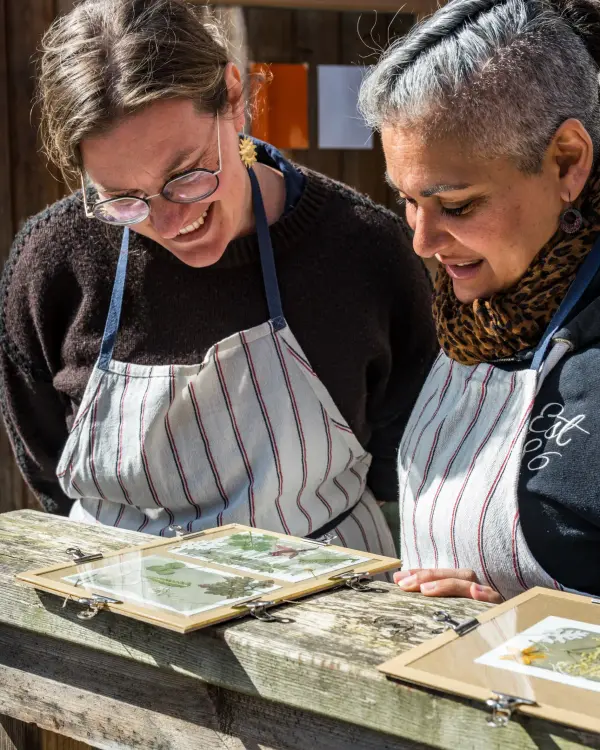 Workshop participants looking at their cyanotype prints as they develop in the sunlight