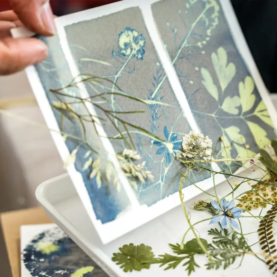 Freshly exposed cyanotype print before rinsing