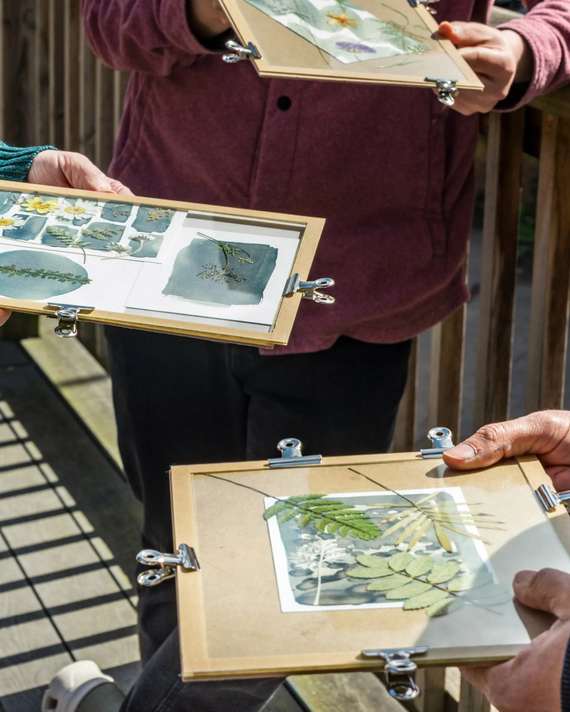 Participants exposing their cyanotypes to sunlight